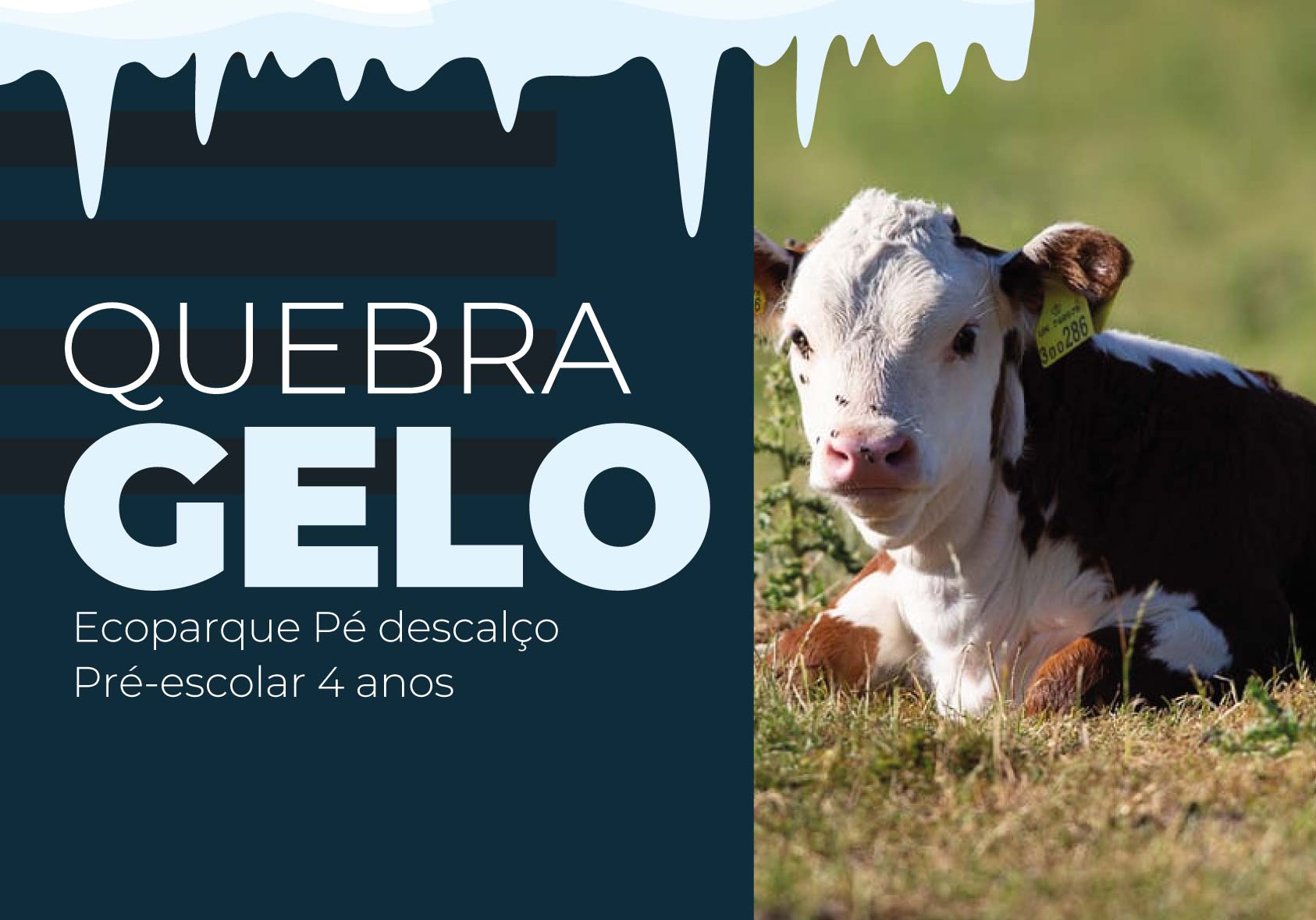 Quebra-gelo — PEDESC