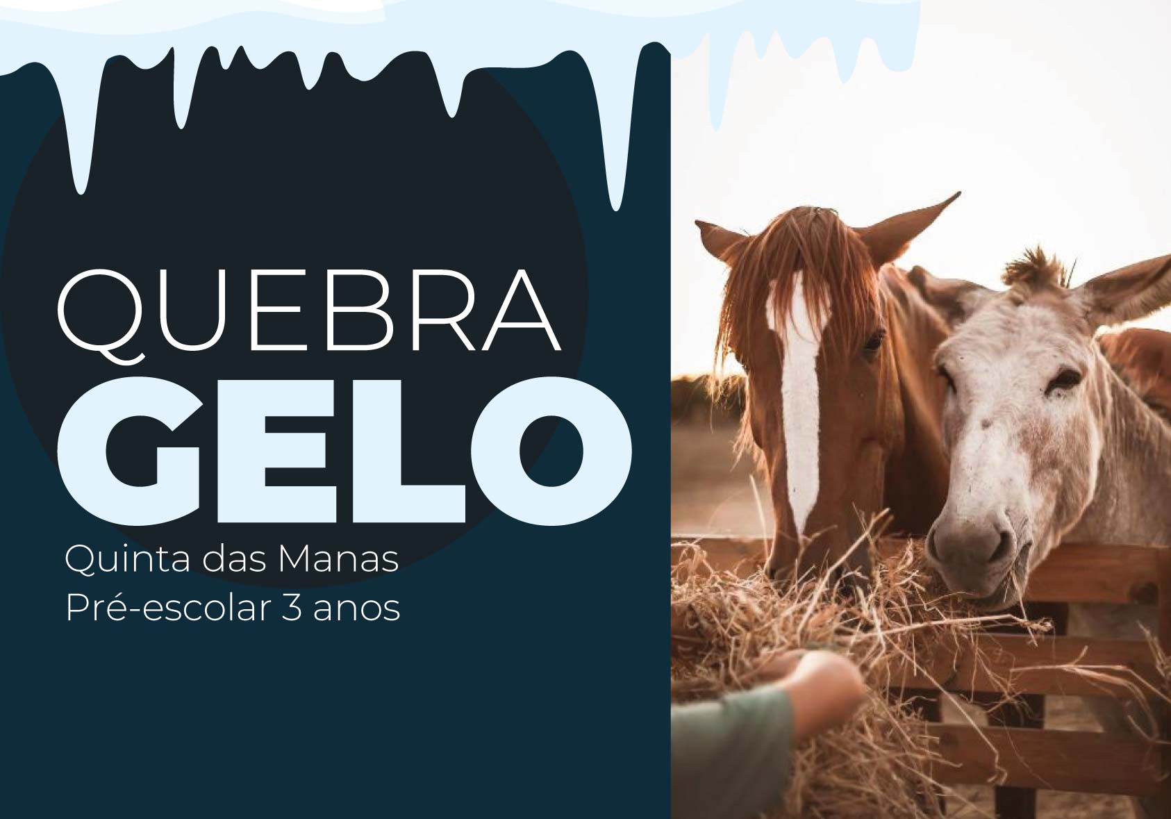 Quebra-gelo — MANAS